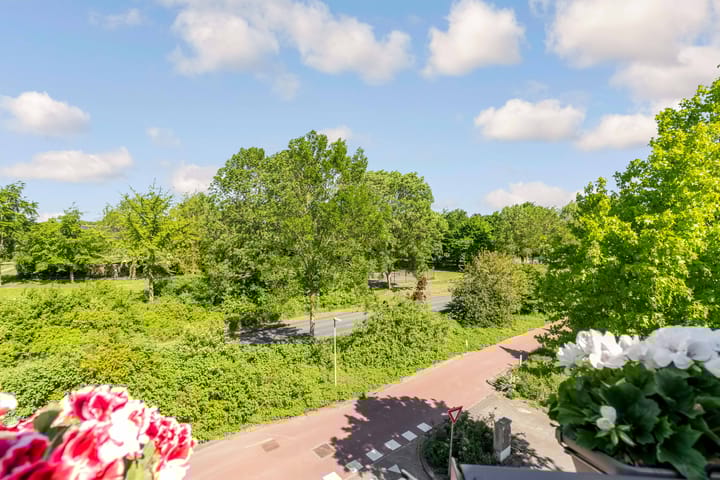 Foto 14 van Rosarium 79