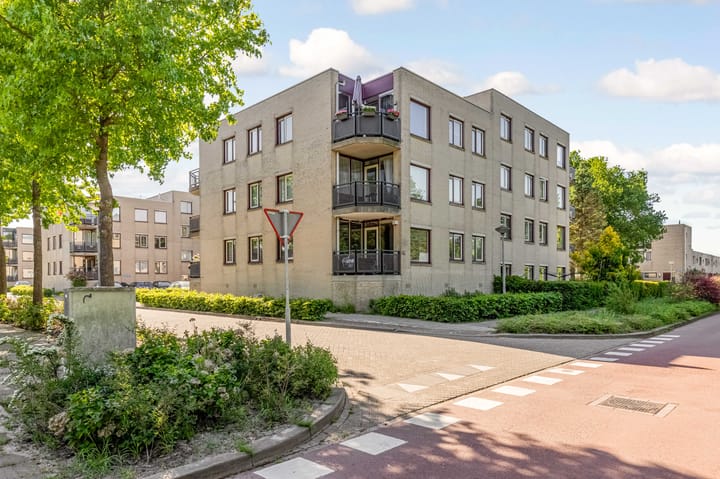 Foto 31 van Rosarium 79