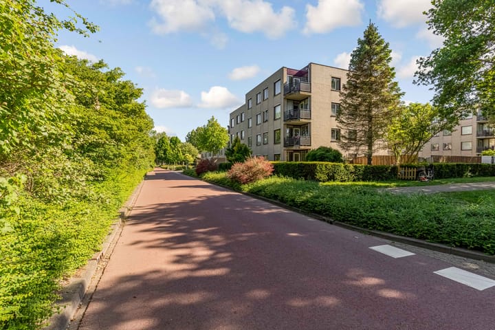 Foto 32 van Rosarium 79