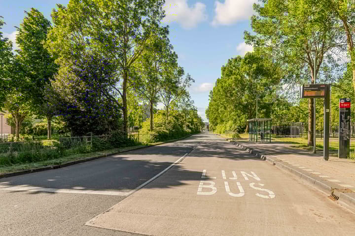 Foto 33 van Rosarium 79