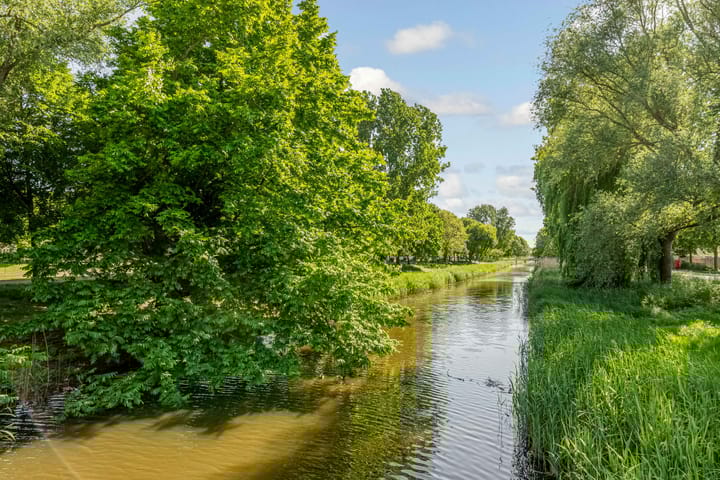 Foto 36 van Rosarium 79