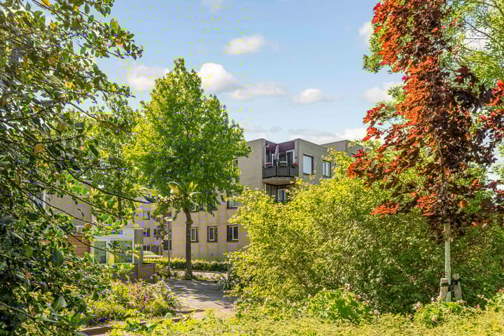 Foto 37 van Rosarium 79