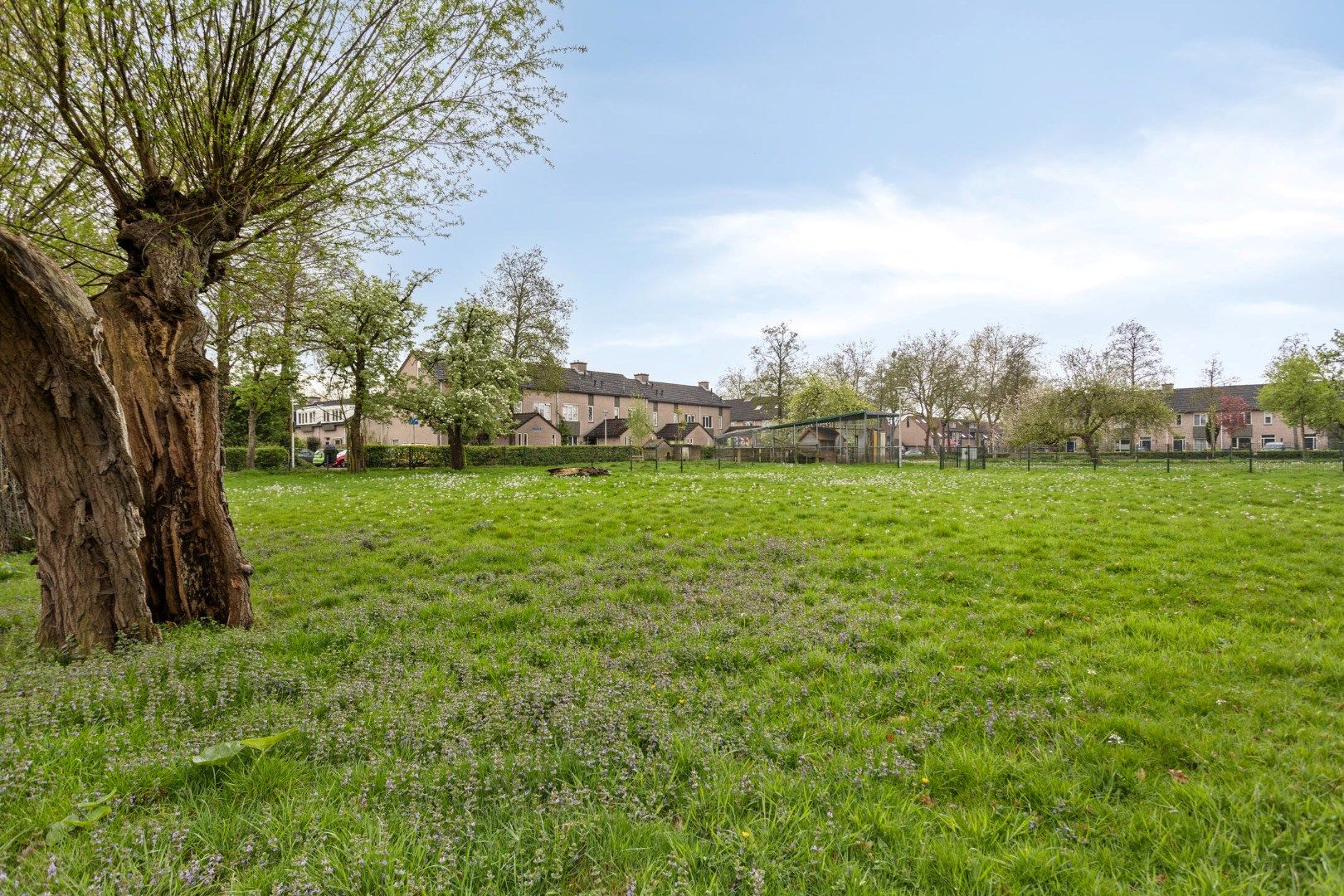 Foto 45 van Tichelmeesterlaan 4