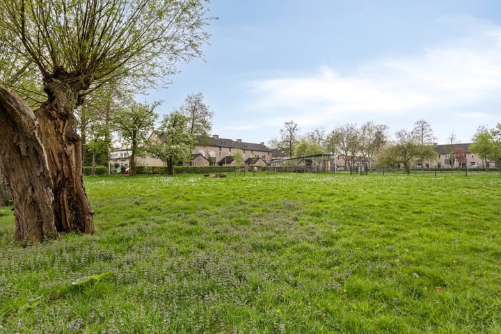 Photo 45 of Tichelmeesterlaan 4