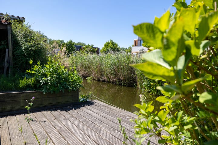 Foto 2 van Veldzoom 5