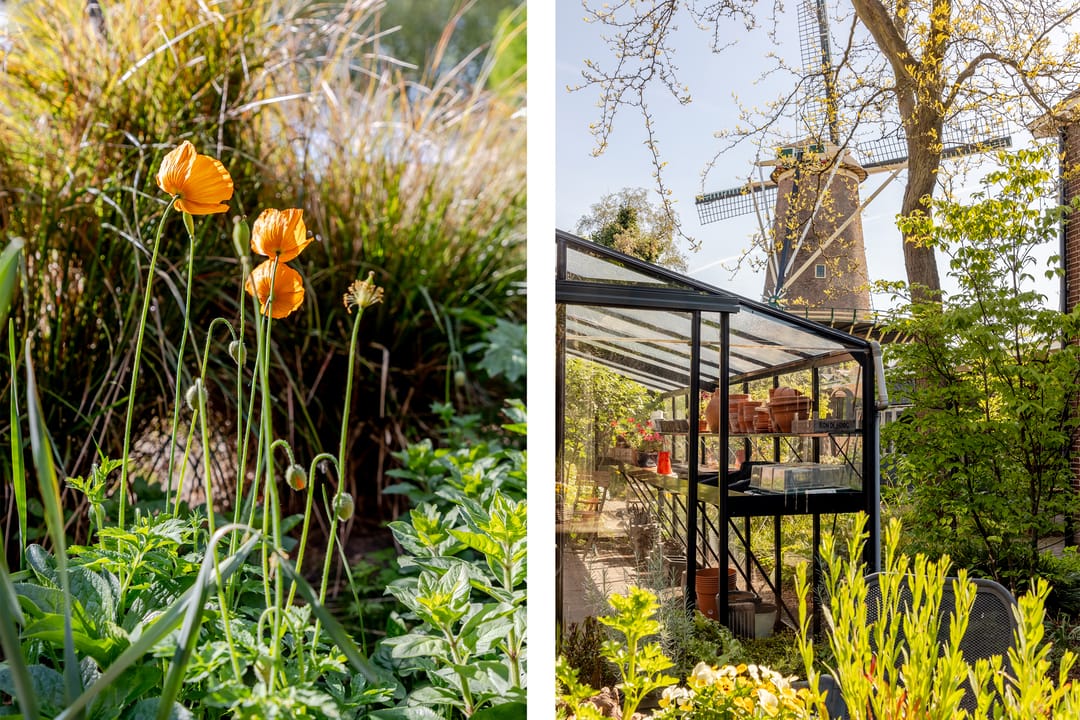 Foto 43 van Johan Evertsenlaan 19