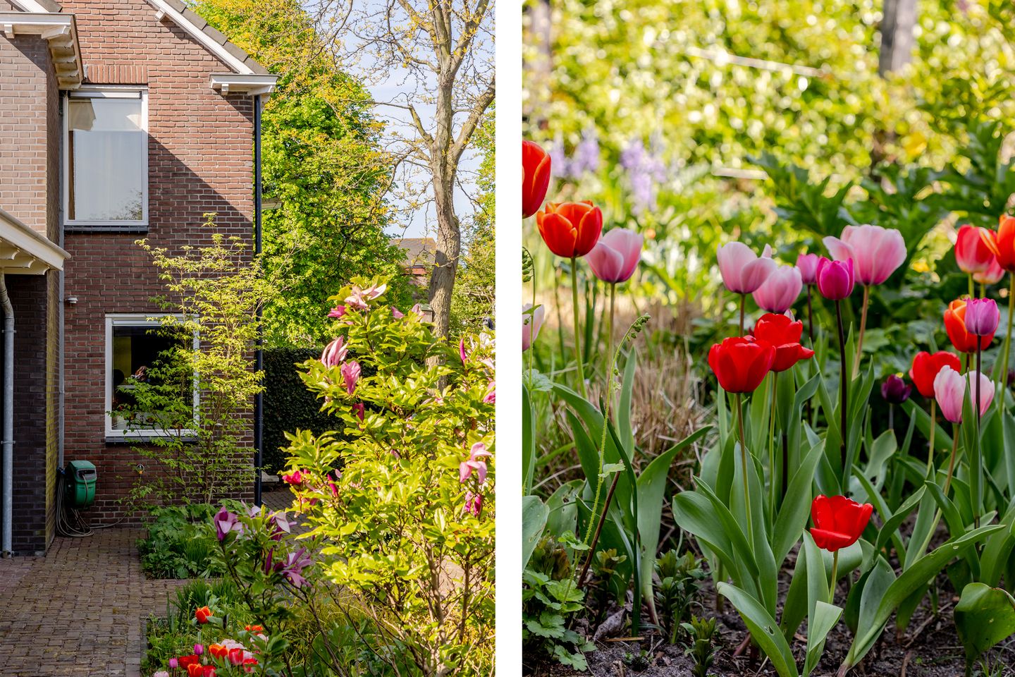 Foto 49 van Johan Evertsenlaan 19