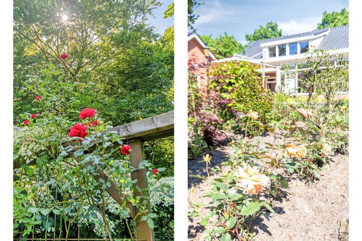 Foto 46 van Visdonkseweg 6