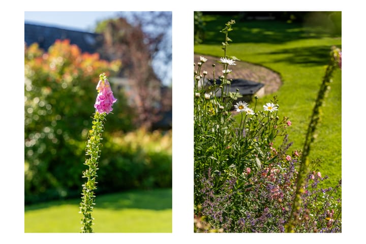 Foto 63 van Polweg 1