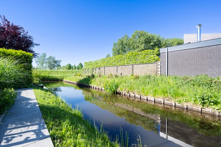 Foto 2 van Tureluur 10