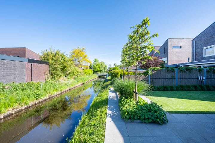 Foto 3 van Tureluur 10