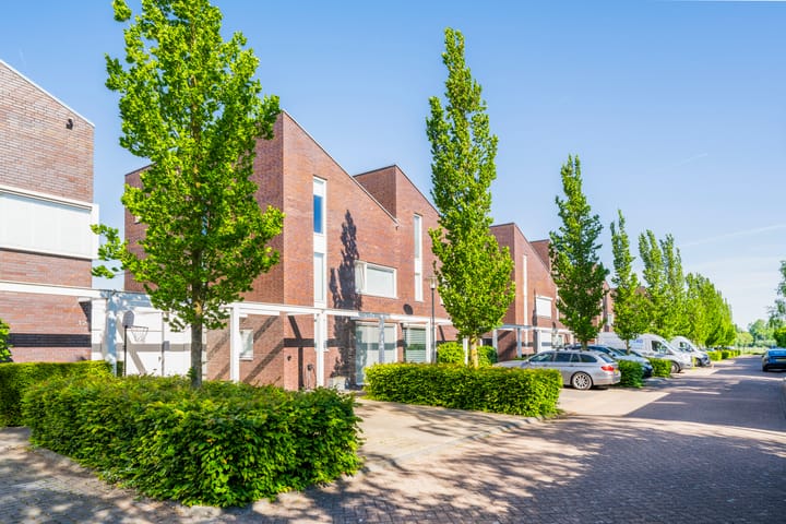 Photo 38 of Tureluur 10