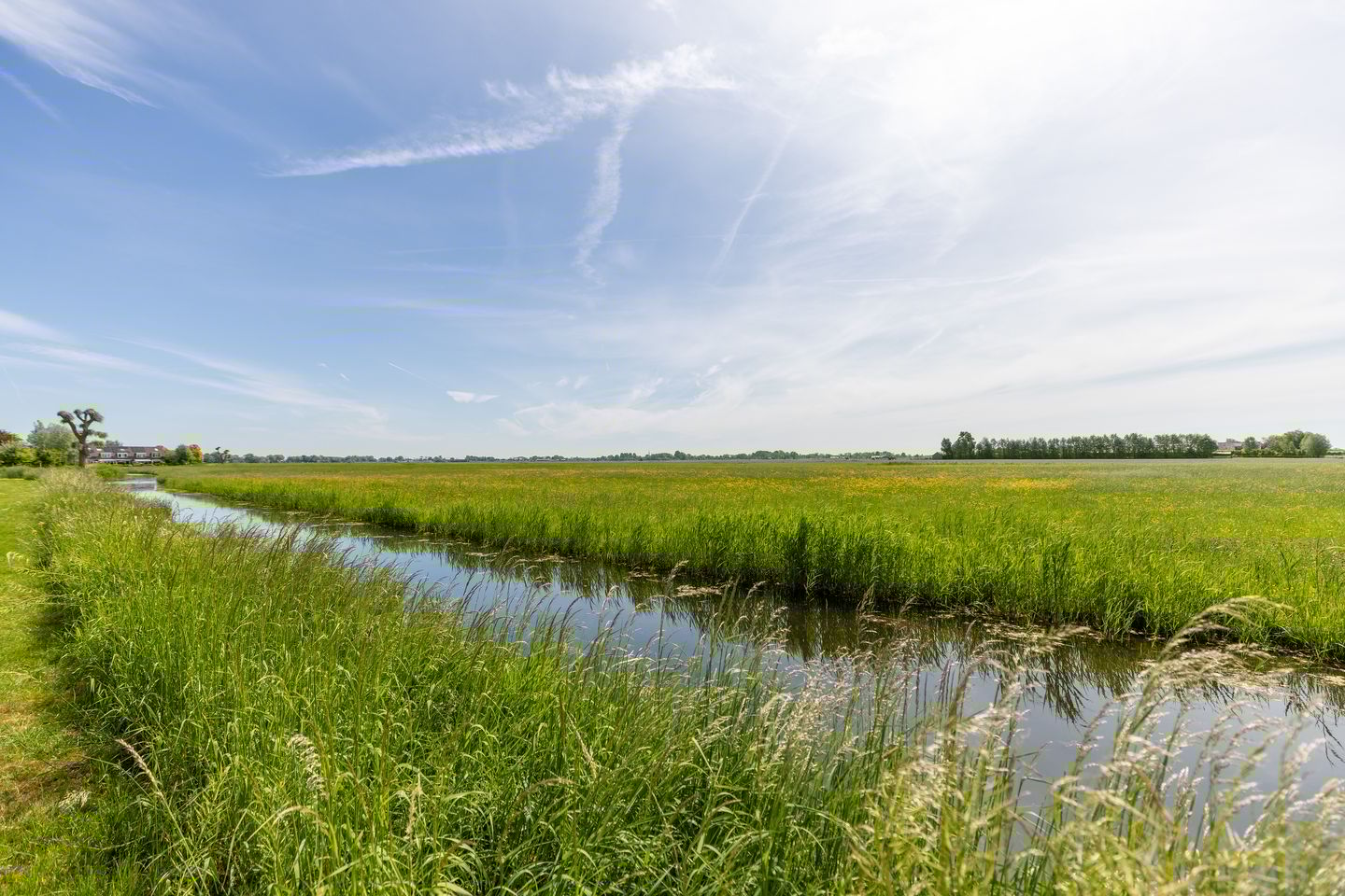 Foto 40 van Chirurgijnsweg 72