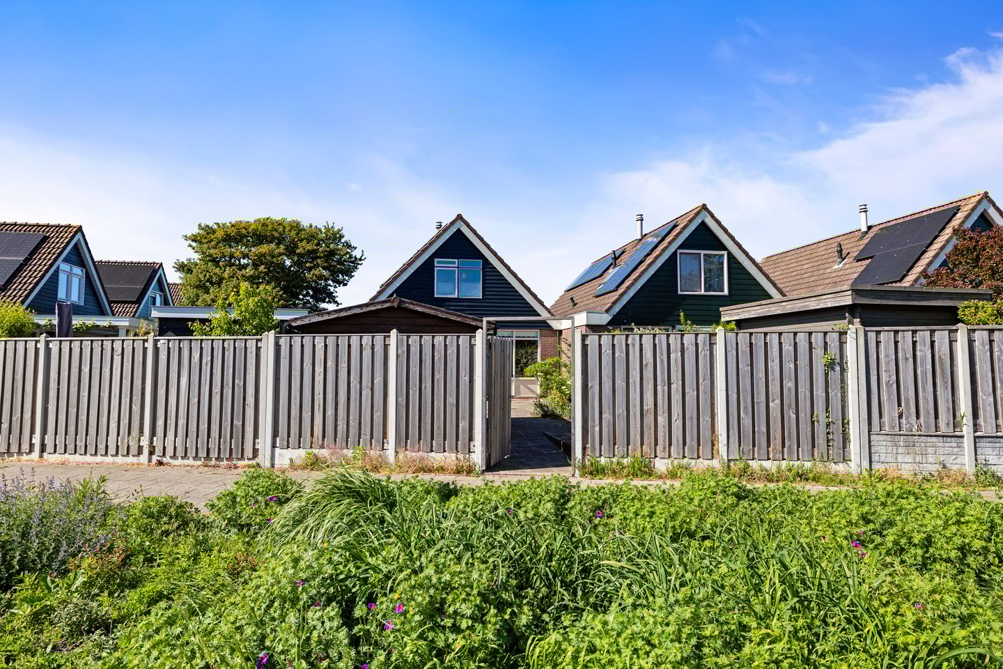 Foto 20 van Wierbalg 1210