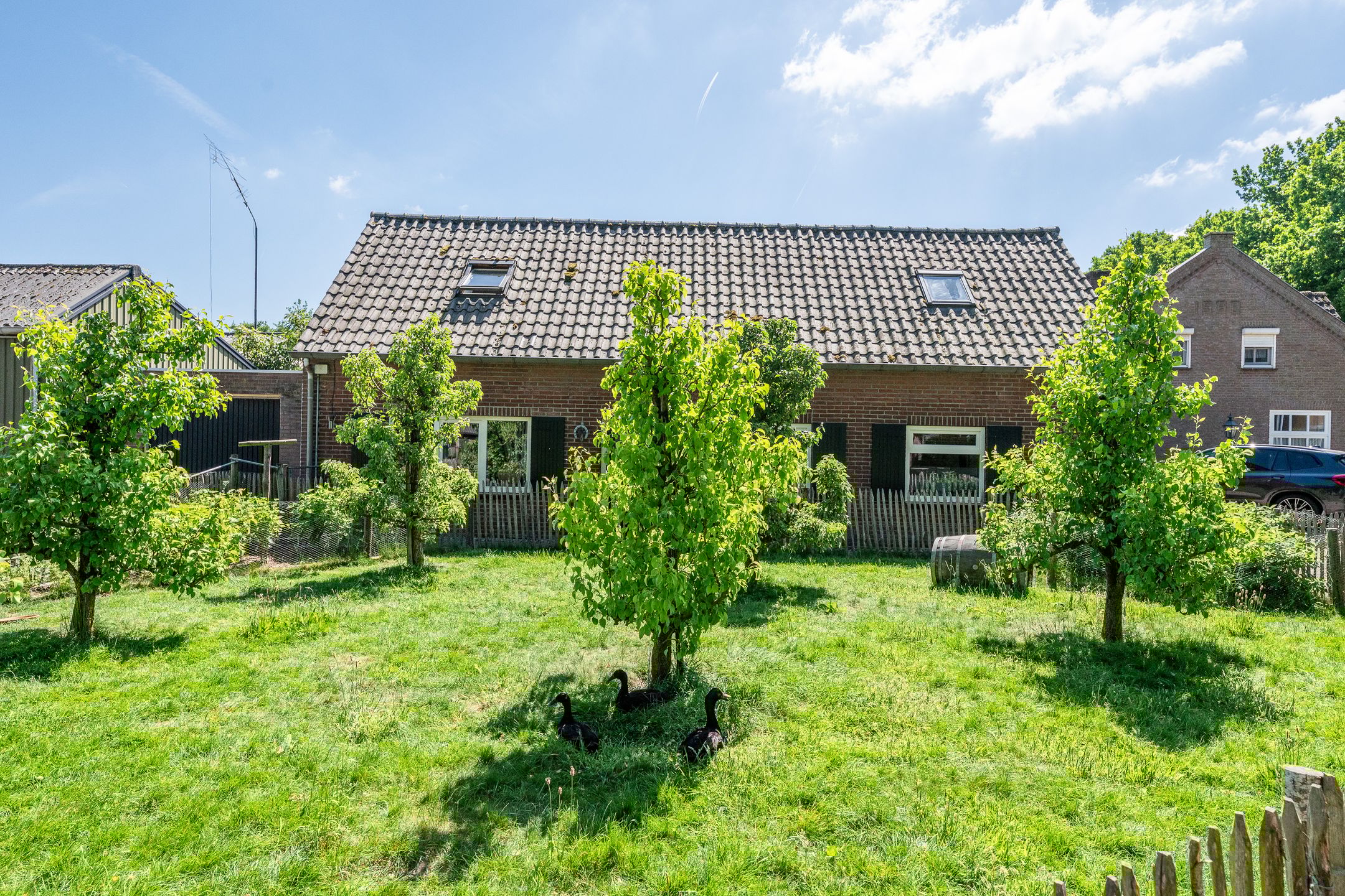 Foto 9 van Knapersven 9