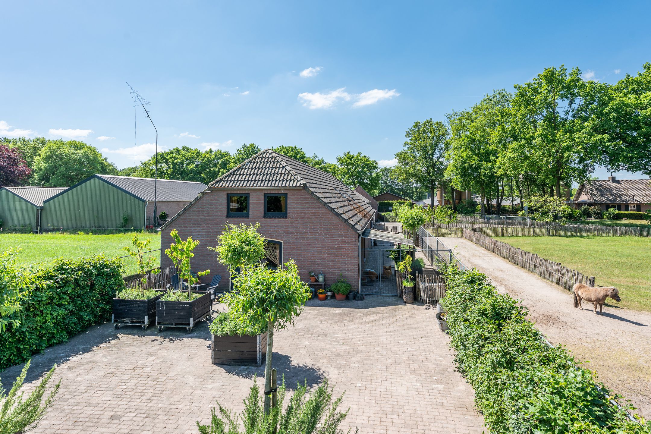 Foto 39 van Knapersven 9