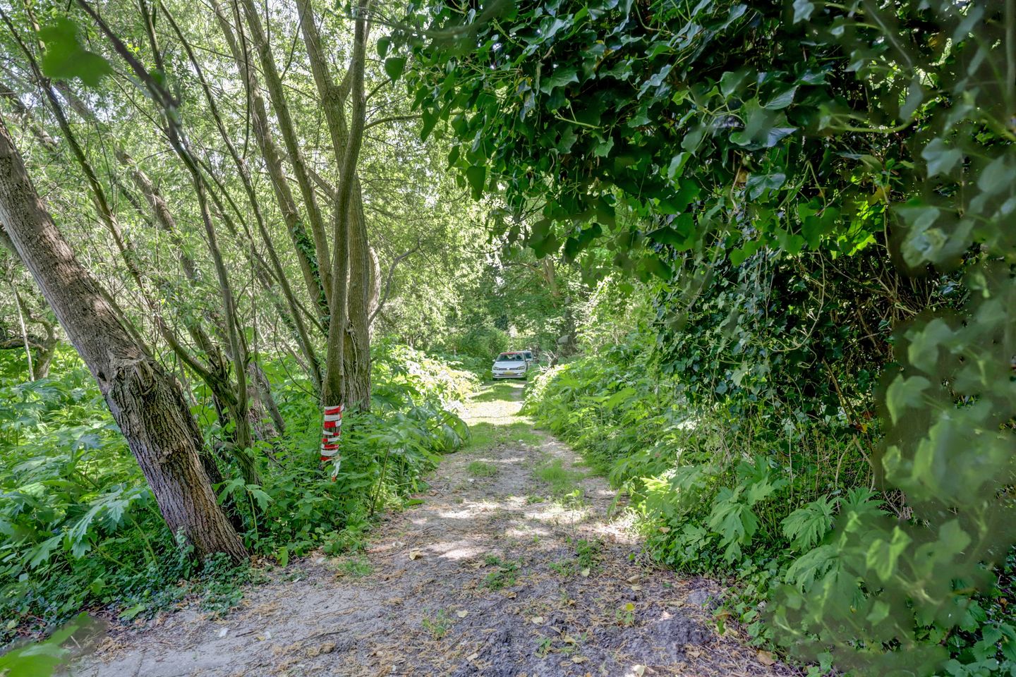 Foto 5 van Hogezoom 79