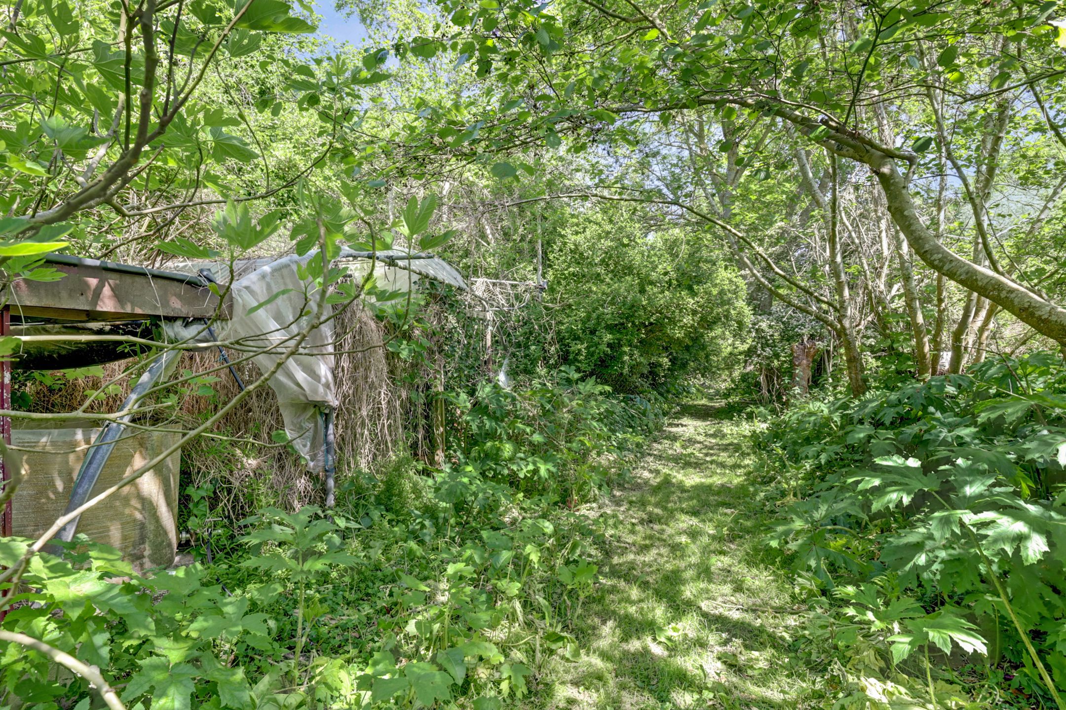 Foto 6 van Hogezoom 79