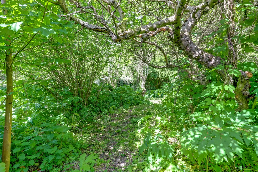 Foto 7 van Hogezoom 79