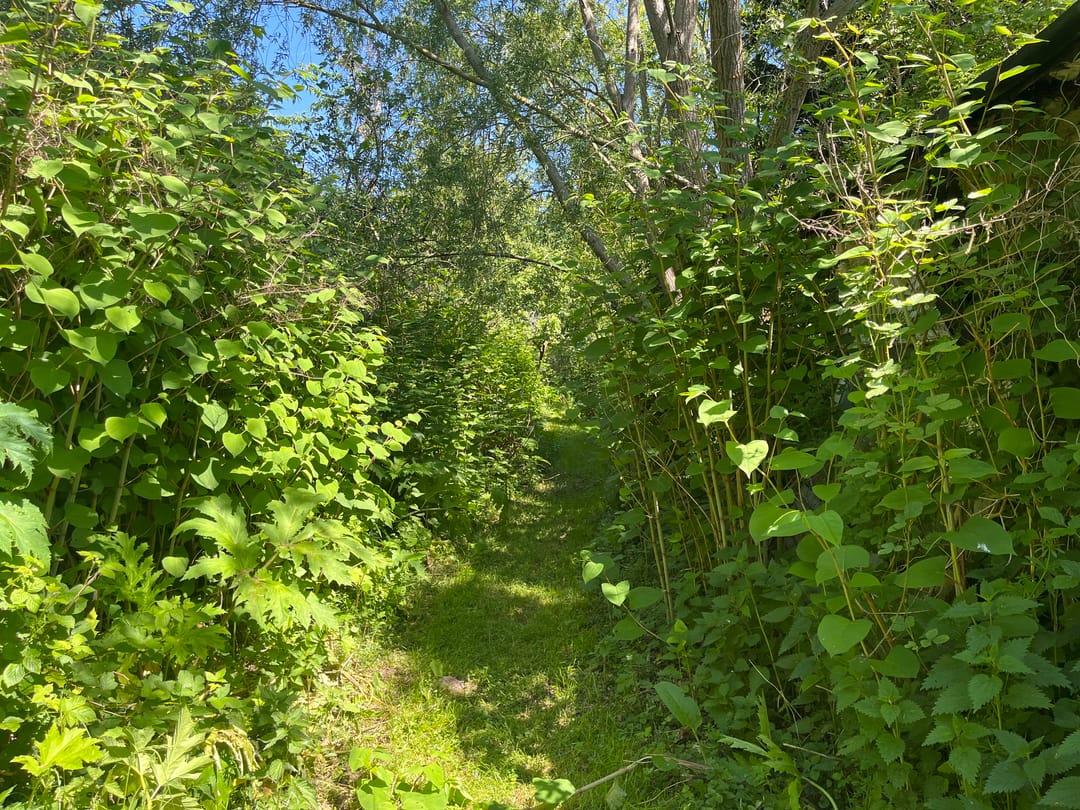 Foto 8 van Hogezoom 79