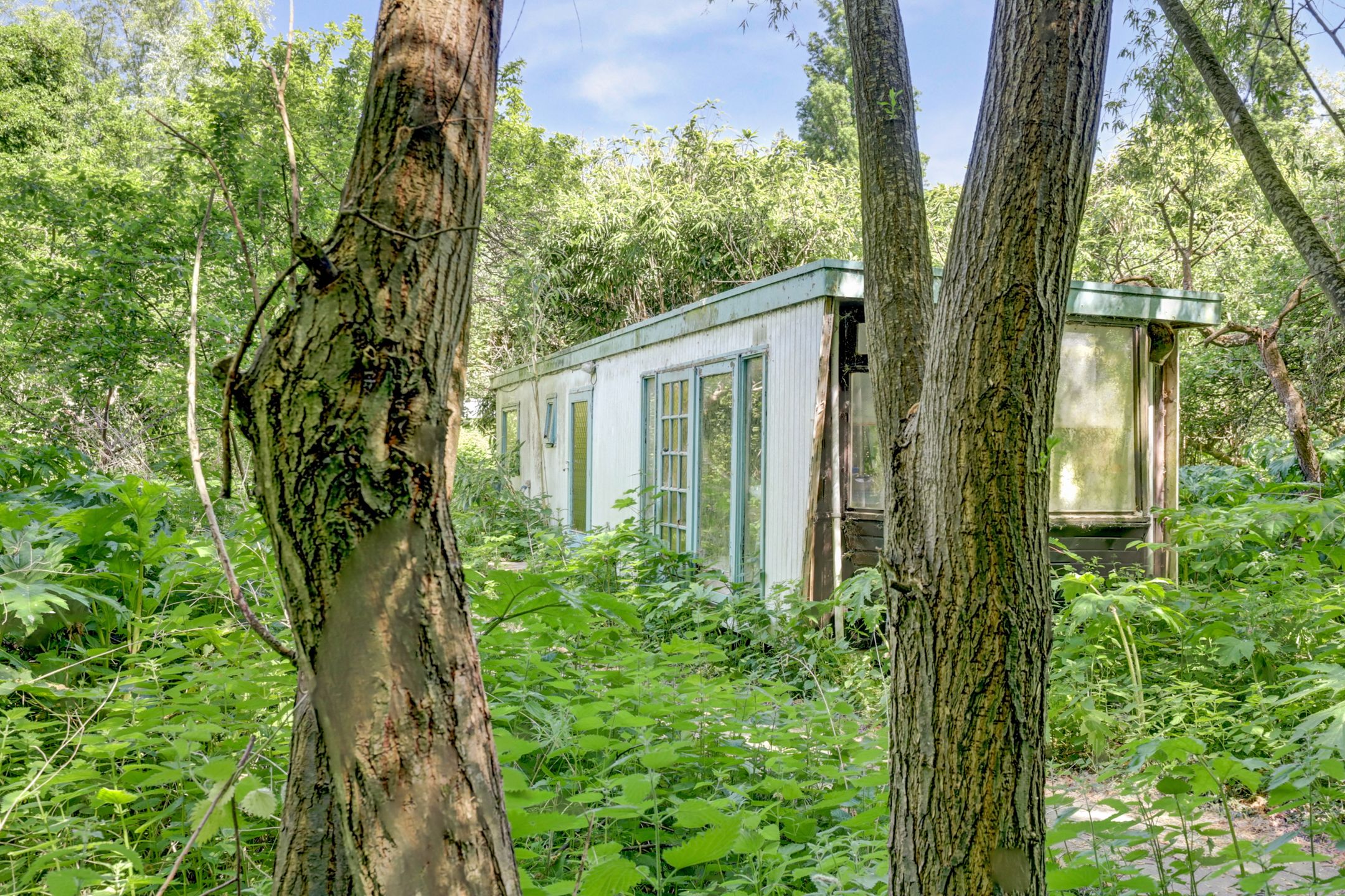 Foto 12 van Hogezoom 79