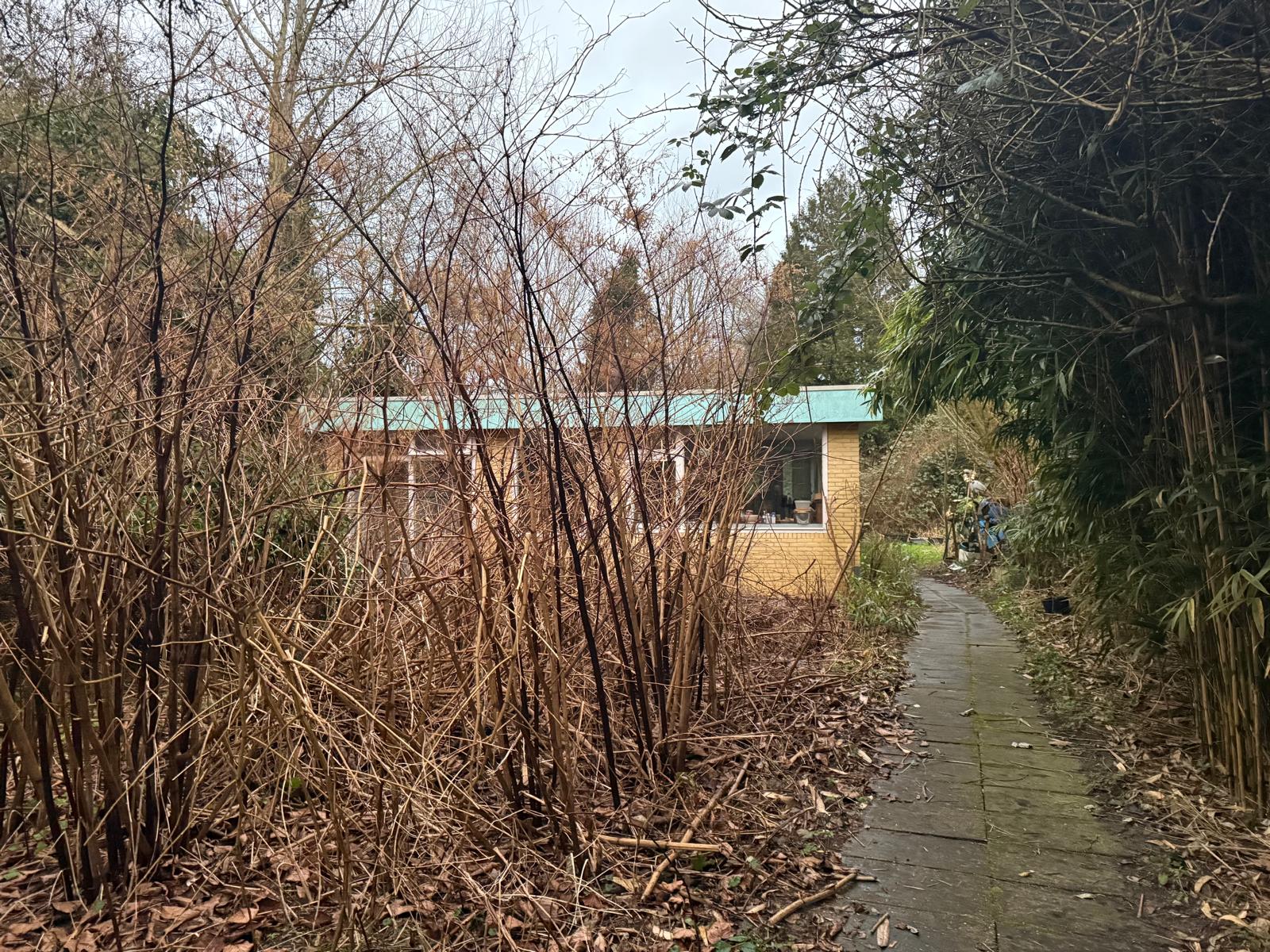 Foto 18 van Hogezoom 79