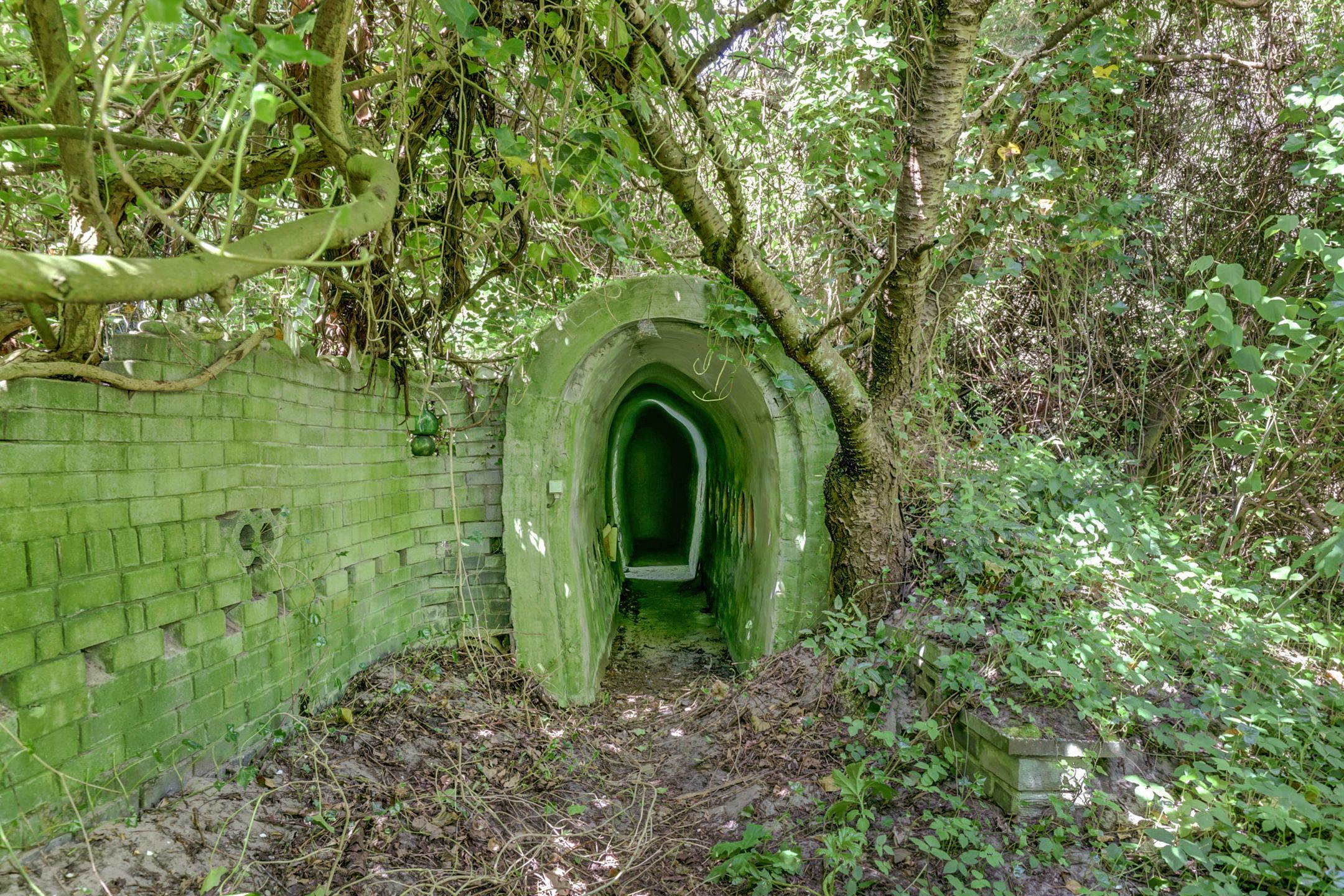 Foto 42 van Hogezoom 79