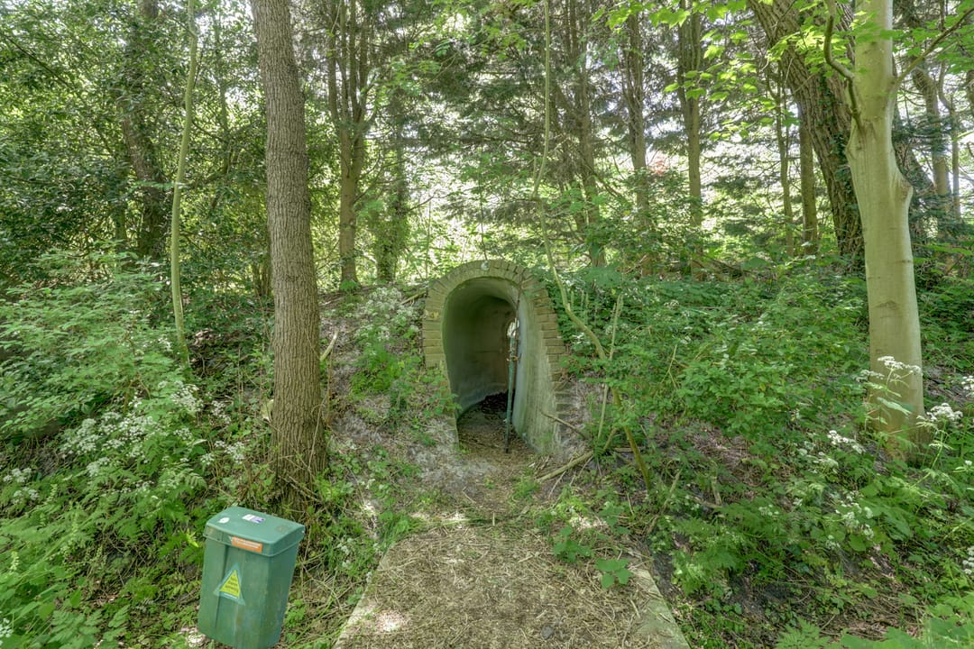 Foto 43 van Hogezoom 79