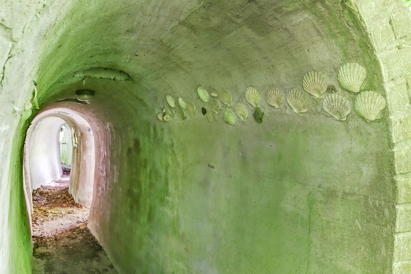 Foto 44 van Hogezoom 79