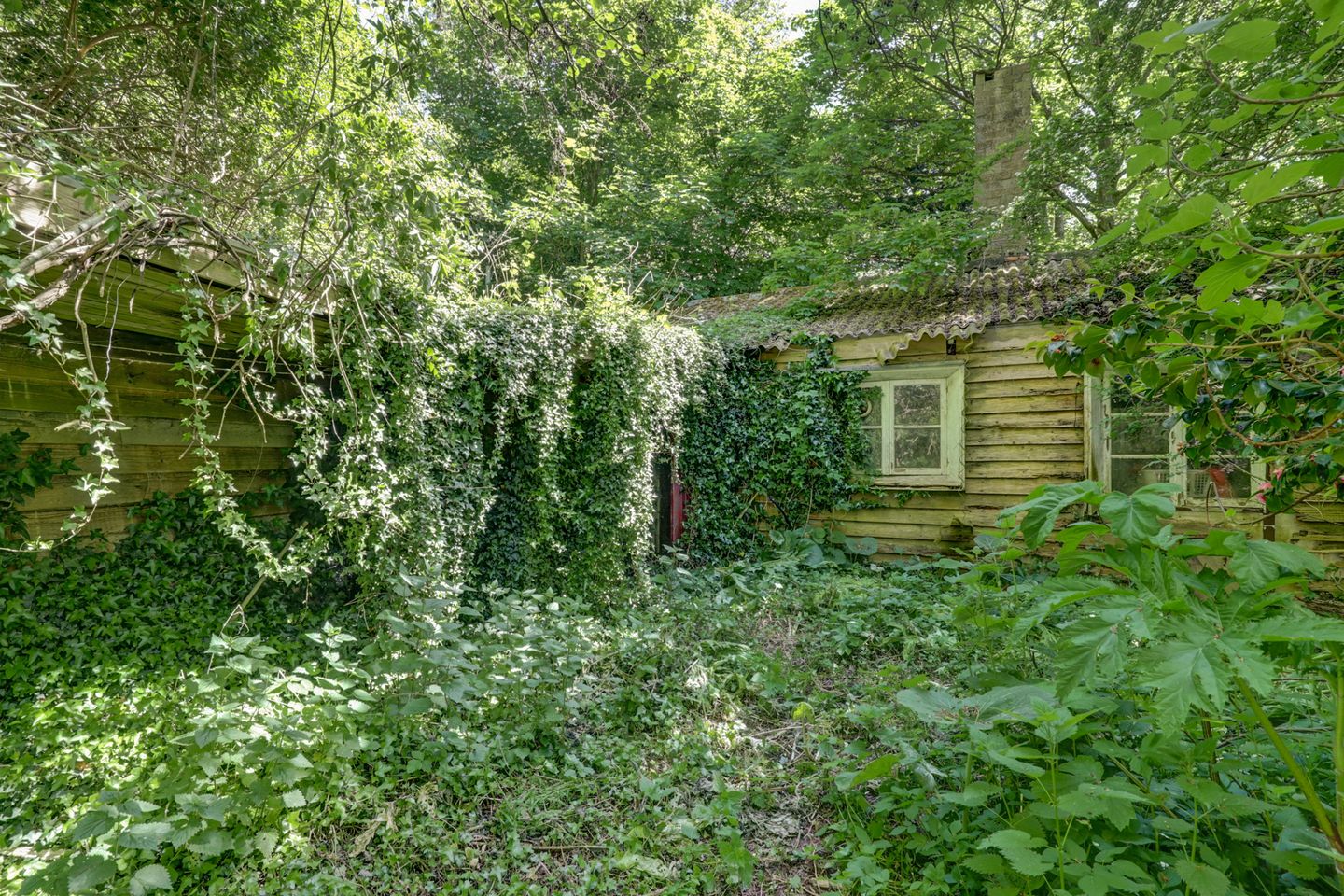 Foto 49 van Hogezoom 79