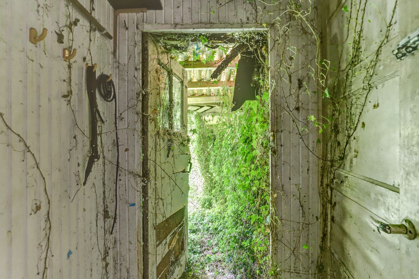 Foto 50 van Hogezoom 79