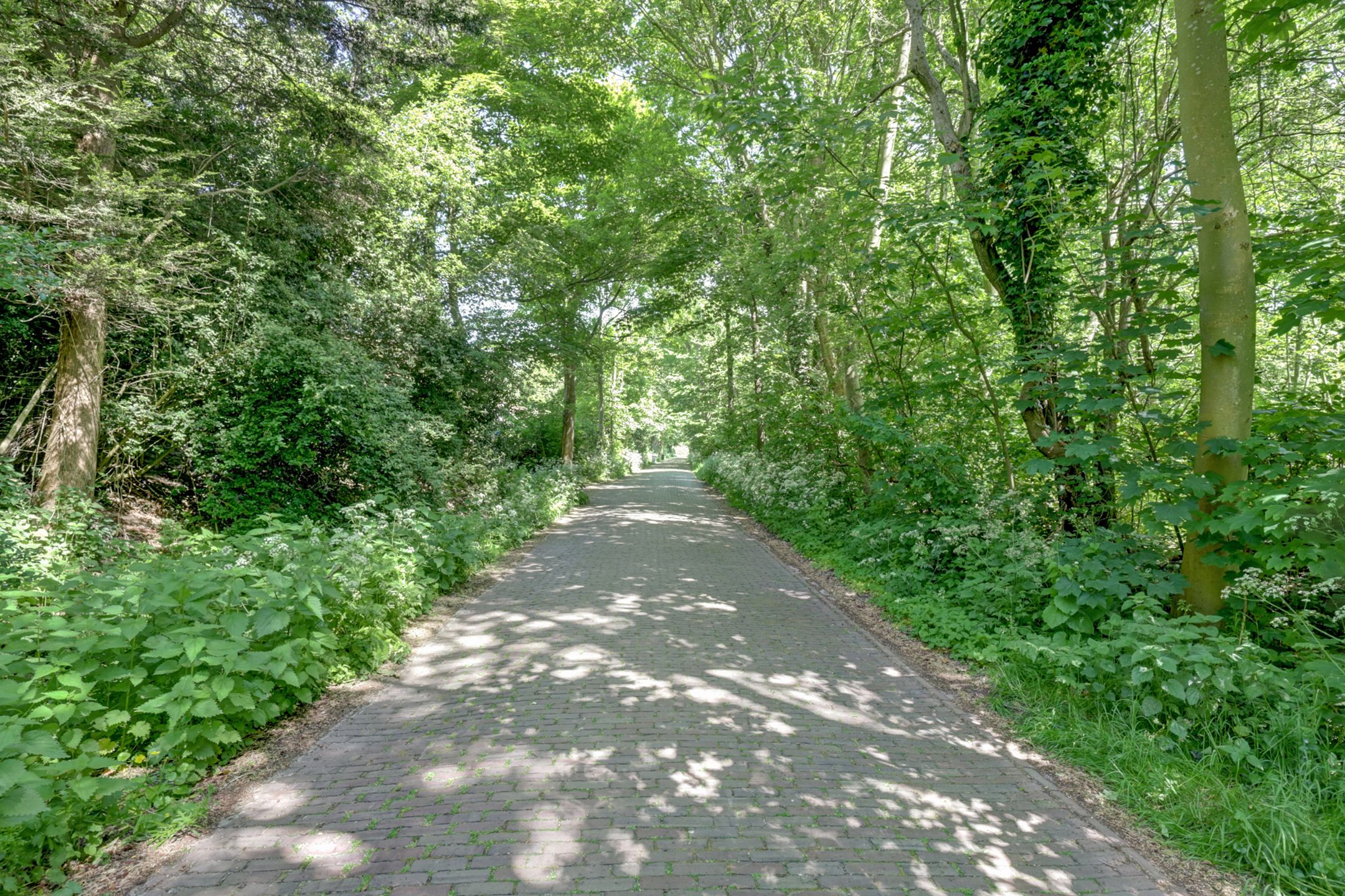 Foto 57 van Hogezoom 79