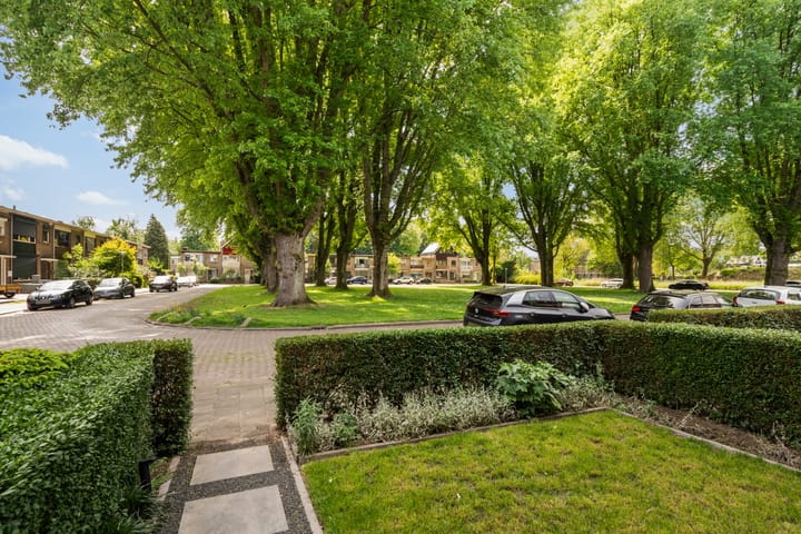 Foto 7 van Van Limburg Stirumplantsoen 24