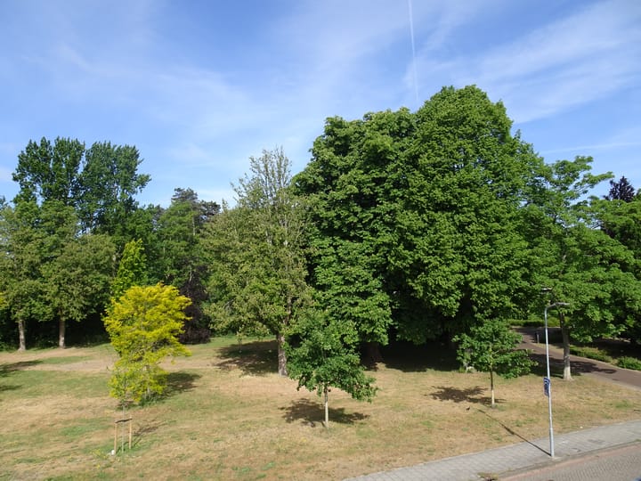 Foto 57 van Bakkummerstraat 5