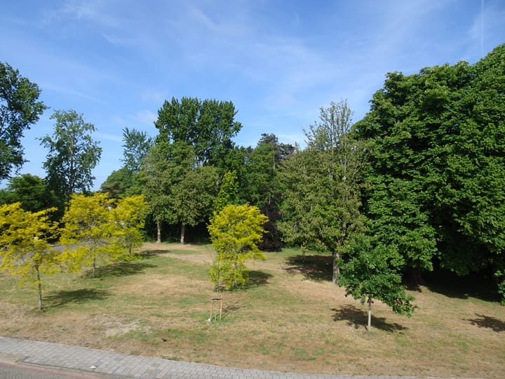 Foto 58 van Bakkummerstraat 5