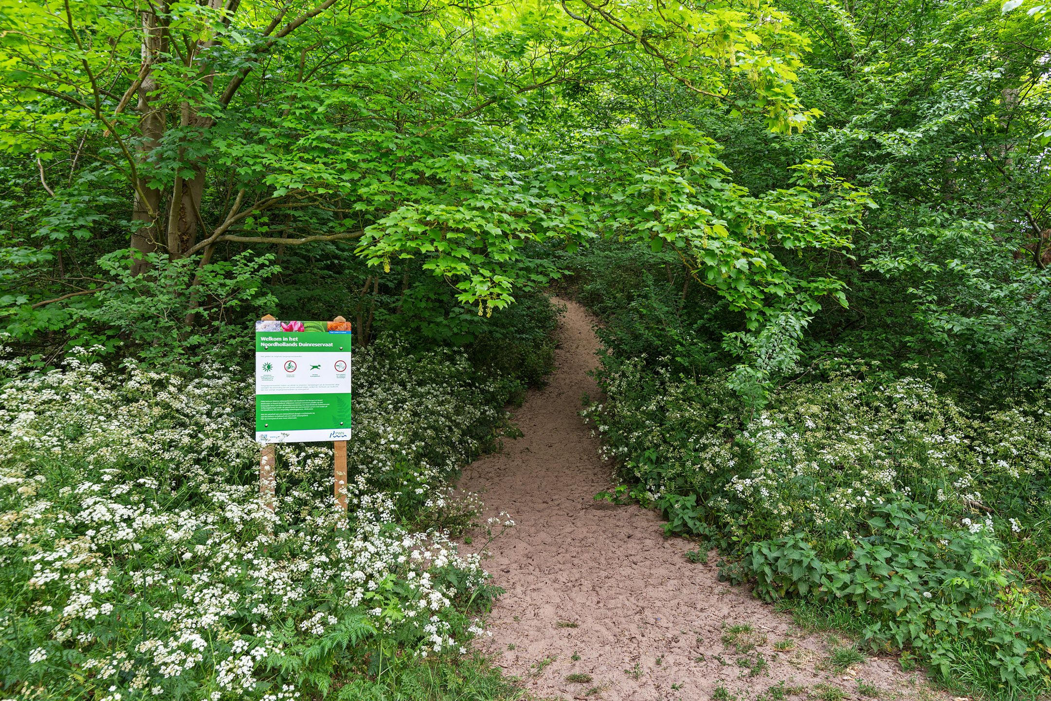 Foto 60 van Bakkummerstraat 5