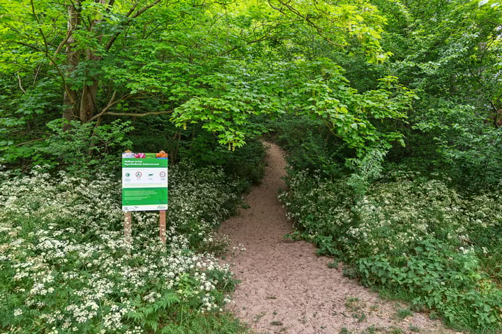 Foto 60 van Bakkummerstraat 5