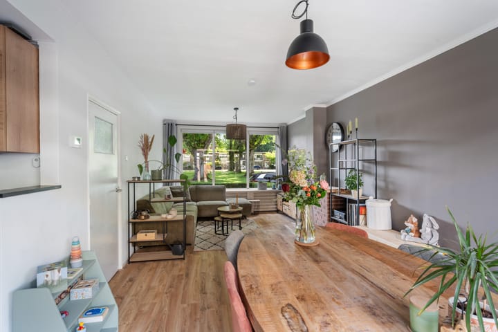 Foto 20 van Van Limburg Stirumplantsoen 24