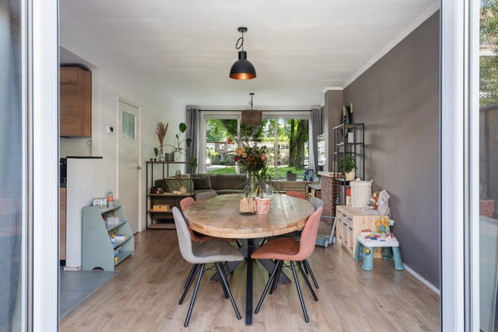 Foto 28 van Van Limburg Stirumplantsoen 24