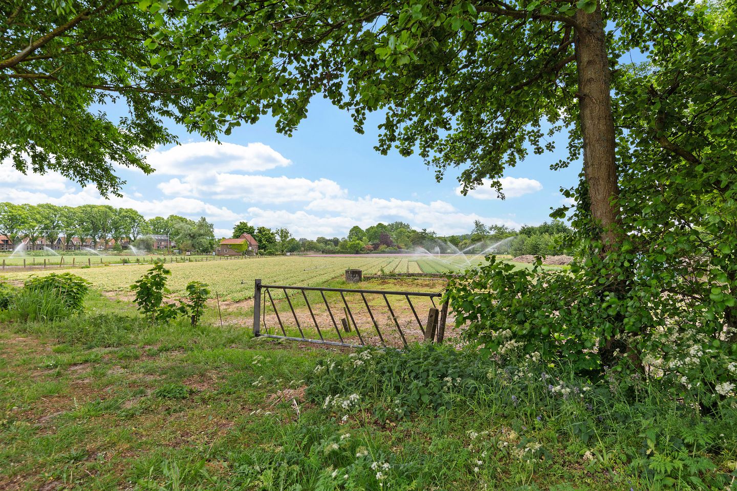 Foto 59 van Bakkummerstraat 5