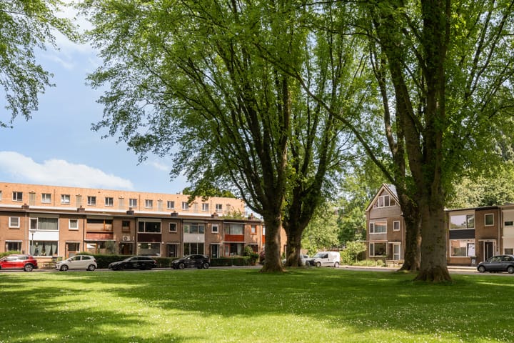 Foto 56 van Van Limburg Stirumplantsoen 24