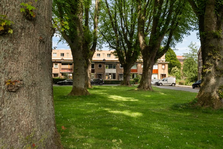 Foto 57 van Van Limburg Stirumplantsoen 24