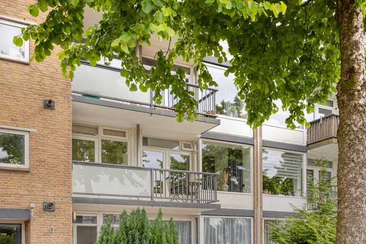 Foto 9 van Troelstrastraat 18