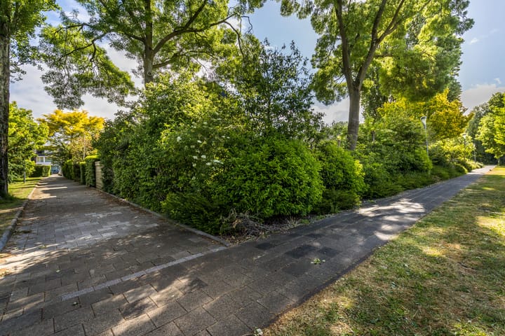 Photo 35 of Meidoornlaan 60