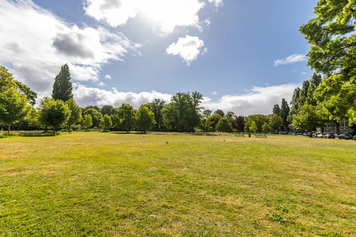 Photo 37 of Meidoornlaan 60