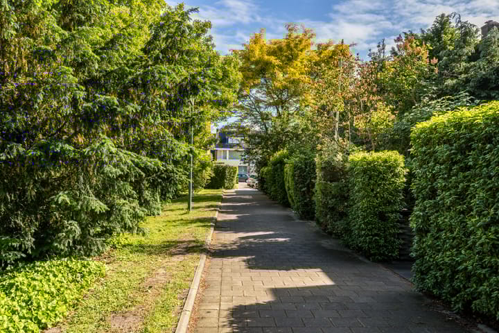 Photo 39 of Meidoornlaan 60