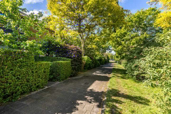 Photo 41 of Meidoornlaan 60