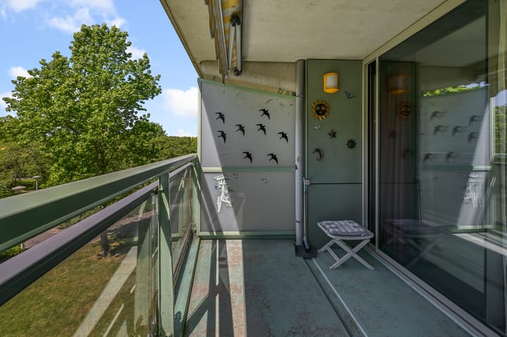 Foto 14 van Adolphine Eduardine Kokplantsoen 64