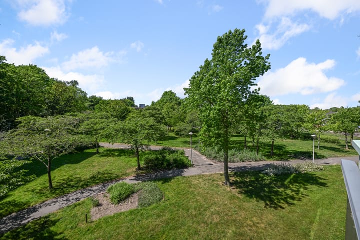 Foto 15 van Adolphine Eduardine Kokplantsoen 64