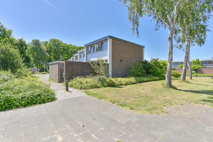 Foto 50 van Danackers 17